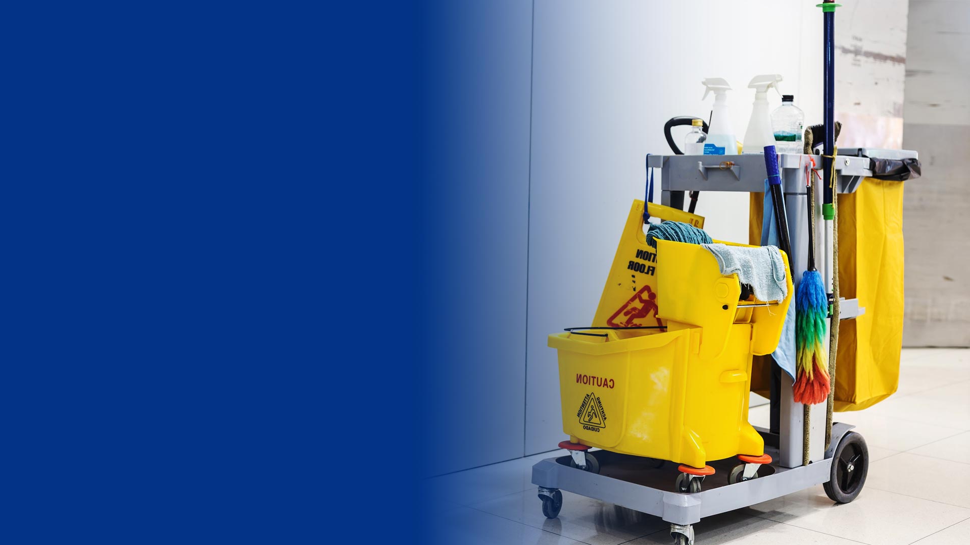 Janitorial Services